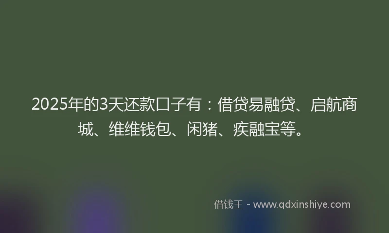 2025年的3天还款口子有：借贷易融贷、启航商城、维维钱包、闲猪、疾融宝等。