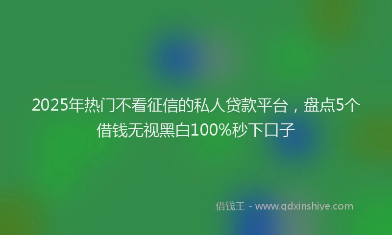 2025年热门不看征信的私人贷款平台，盘点5个借钱无视黑白100%秒下口子