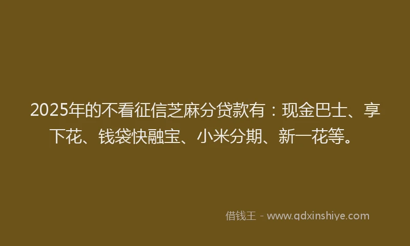 2025年的不看征信芝麻分贷款有：现金巴士、享下花、钱袋快融宝、小米分期、新一花等。