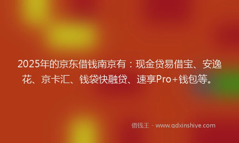 2025年的京东借钱南京有：现金贷易借宝、安逸花、京卡汇、钱袋快融贷、速享Pro+钱包等。