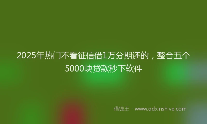 2025年热门不看征信借1万分期还的，整合五个5000块贷款秒下软件