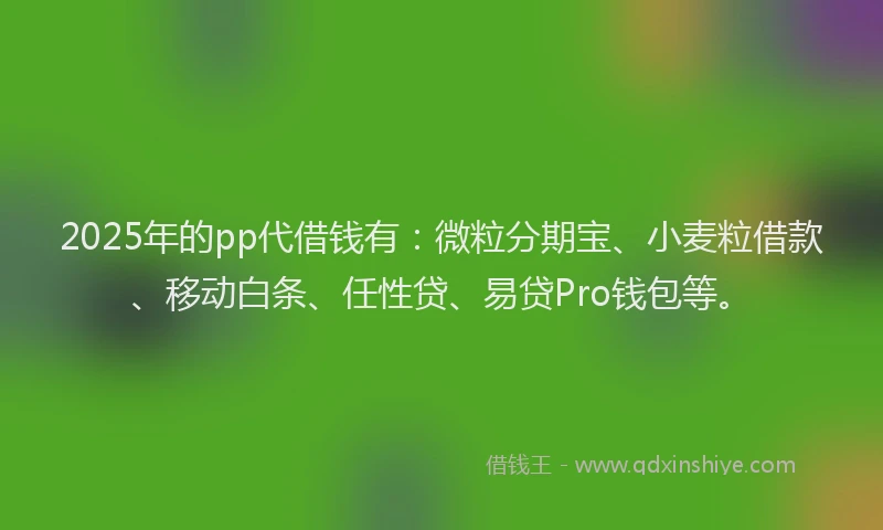 2025年的pp代借钱有：微粒分期宝、小麦粒借款、移动白条、任性贷、易贷Pro钱包等。