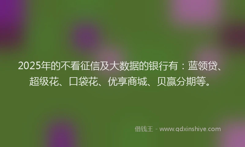 2025年的不看征信及大数据的银行有：蓝领贷、超级花、口袋花、优享商城、贝赢分期等。
