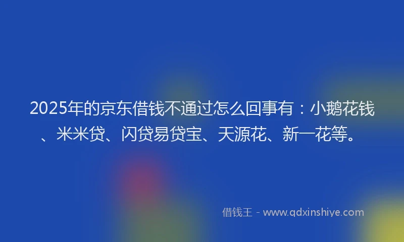 2025年的京东借钱不通过怎么回事有：小鹅花钱、米米贷、闪贷易贷宝、天源花、新一花等。