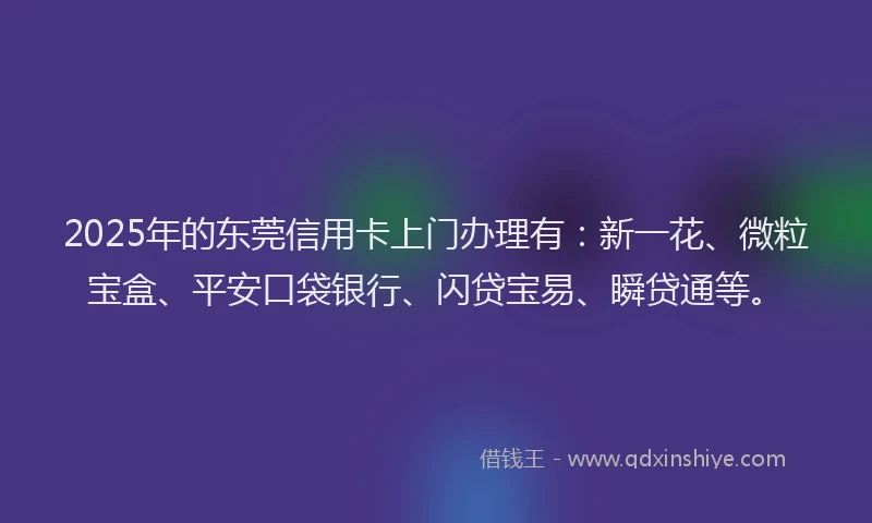 2025年的东莞信用卡上门办理有：新一花、微粒宝盒、平安口袋银行、闪贷宝易、瞬贷通等。
