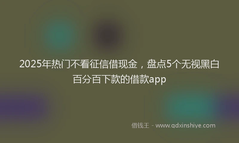 2025年热门不看征信借现金，盘点5个无视黑白百分百下款的借款app