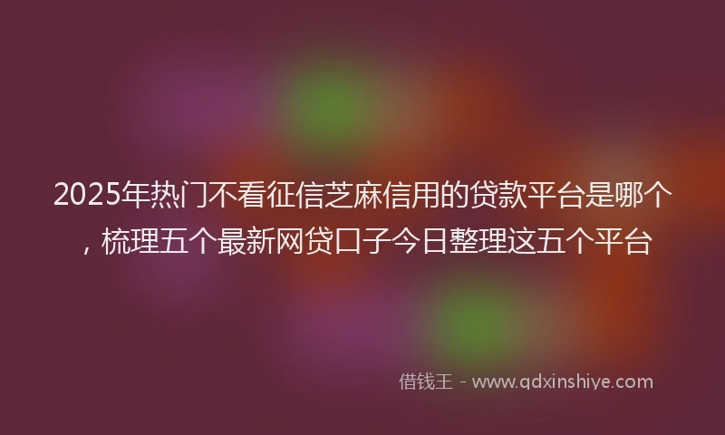 2025年热门不看征信芝麻信用的贷款平台是哪个，梳理五个最新网贷口子今日整理这五个平台
