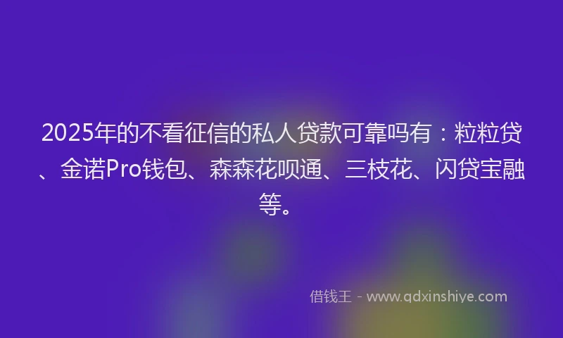 2025年的不看征信的私人贷款可靠吗有：粒粒贷、金诺Pro钱包、森森花呗通、三枝花、闪贷宝融等。