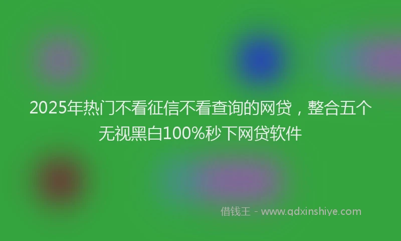 2025年热门不看征信不看查询的网贷，整合五个无视黑白100%秒下网贷软件