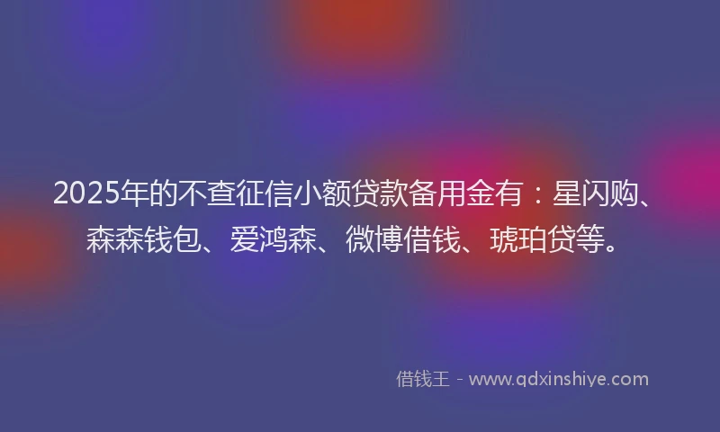 2025年的不查征信小额贷款备用金有：星闪购、森森钱包、爱鸿森、微博借钱、琥珀贷等。