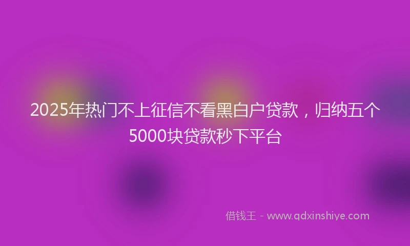 2025年热门不上征信不看黑白户贷款，归纳五个5000块贷款秒下平台