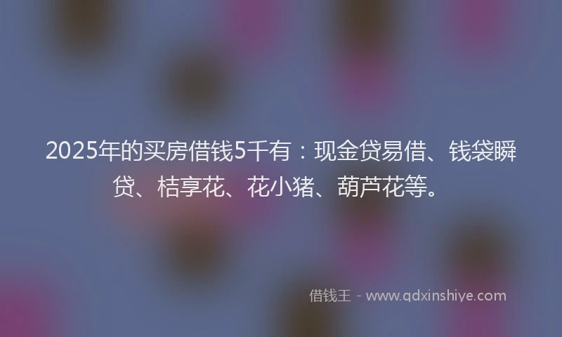 2025年的买房借钱5千有：现金贷易借、钱袋瞬贷、桔享花、花小猪、葫芦花等。