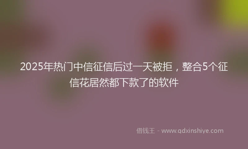 2025年热门中信征信后过一天被拒，整合5个征信花居然都下款了的软件