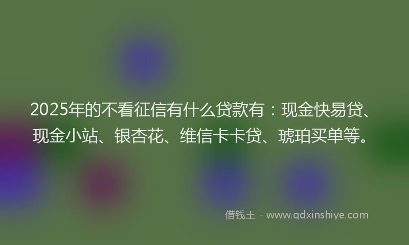 2025年的不看征信有什么贷款有：现金快易贷、现金小站、银杏花、维信卡卡贷、琥珀买单等。