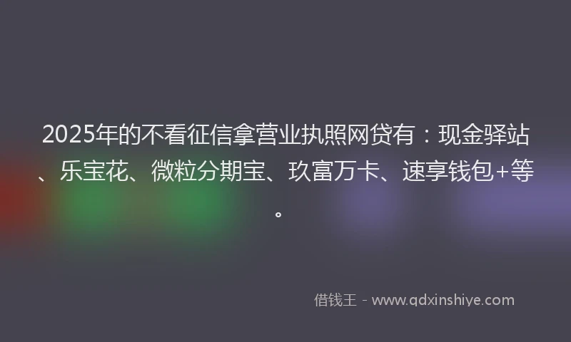 2025年的不看征信拿营业执照网贷有：现金驿站、乐宝花、微粒分期宝、玖富万卡、速享钱包+等。