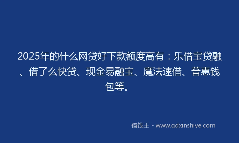 2025年的什么网贷好下款额度高有：乐借宝贷融、借了么快贷、现金易融宝、魔法速借、普惠钱包等。