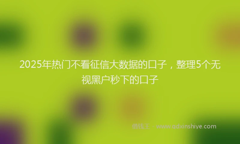 2025年热门不看征信大数据的口子，整理5个无视黑户秒下的口子