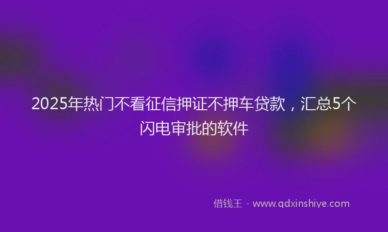 2025年热门不看征信押证不押车贷款，汇总5个闪电审批的软件