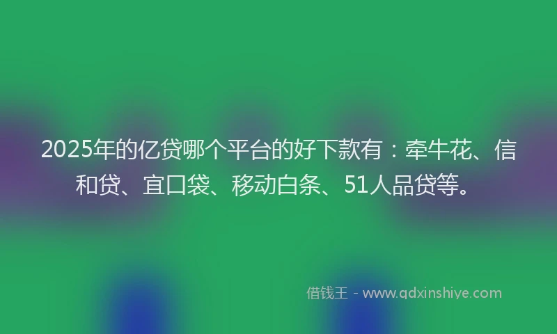 2025年的亿贷哪个平台的好下款有：牵牛花、信和贷、宜口袋、移动白条、51人品贷等。