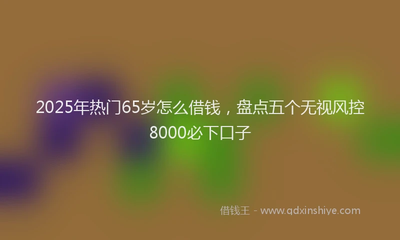 2025年热门65岁怎么借钱，盘点五个无视风控8000必下口子