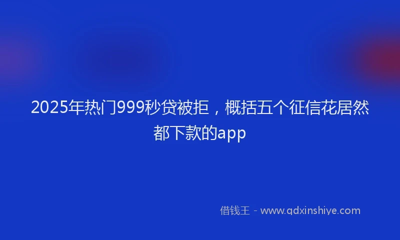 2025年热门999秒贷被拒，概括五个征信花居然都下款的app