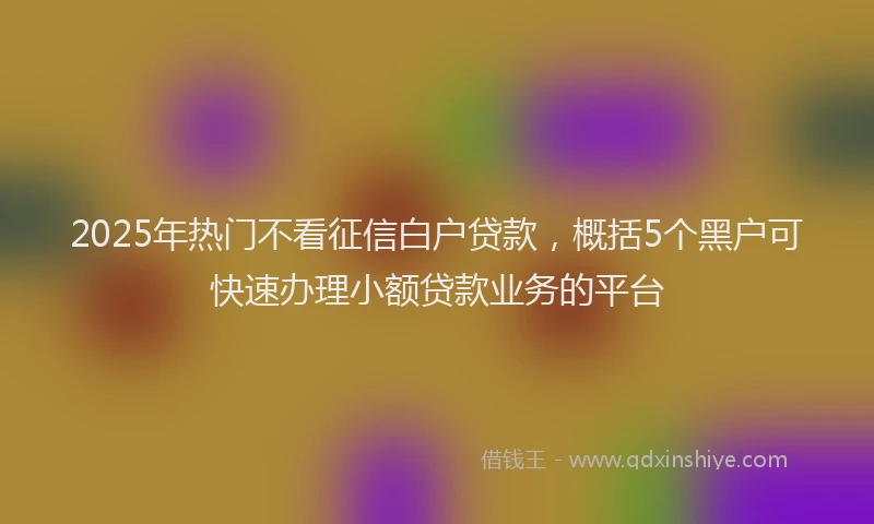 2025年热门不看征信白户贷款，概括5个黑户可快速办理小额贷款业务的平台