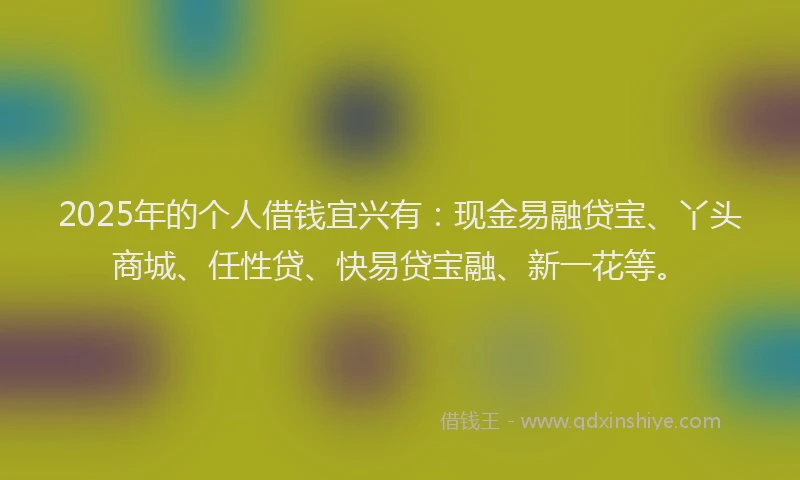 2025年的个人借钱宜兴有：现金易融贷宝、丫头商城、任性贷、快易贷宝融、新一花等。