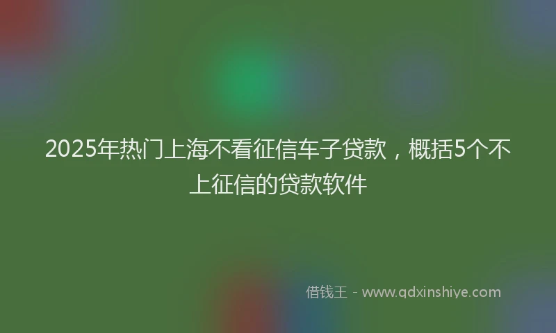 2025年热门上海不看征信车子贷款，概括5个不上征信的贷款软件