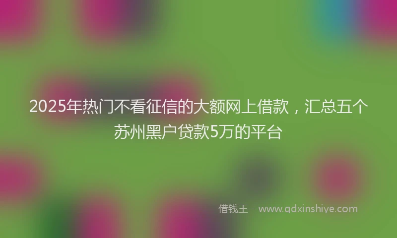 2025年热门不看征信的大额网上借款，汇总五个苏州黑户贷款5万的平台