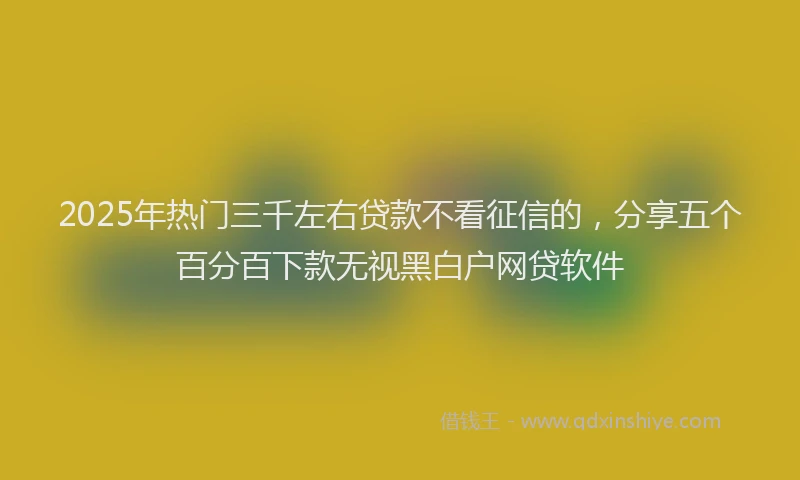 2025年热门三千左右贷款不看征信的，分享五个百分百下款无视黑白户网贷软件
