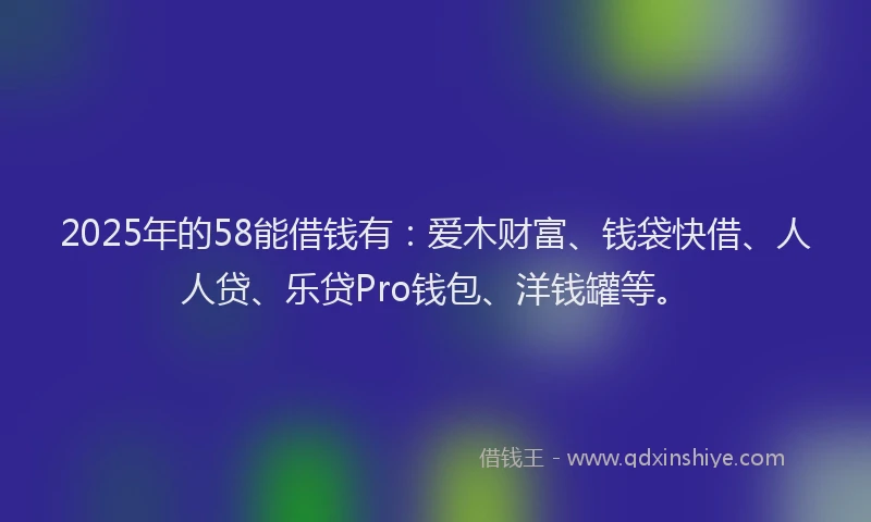 2025年的58能借钱有：爱木财富、钱袋快借、人人贷、乐贷Pro钱包、洋钱罐等。