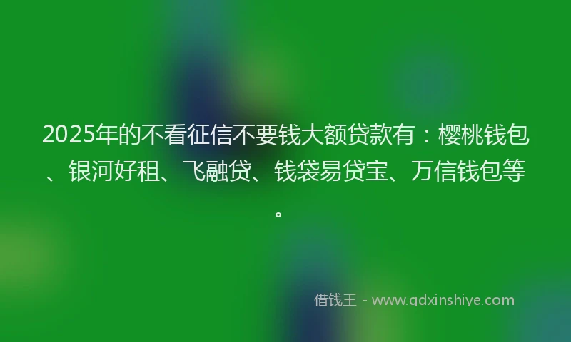 2025年的不看征信不要钱大额贷款有：樱桃钱包、银河好租、飞融贷、钱袋易贷宝、万信钱包等。