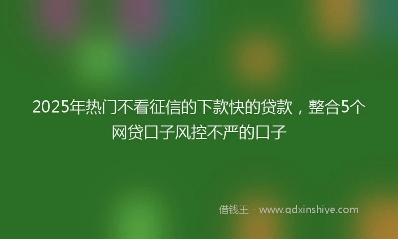 2025年热门不看征信的下款快的贷款，整合5个网贷口子风控不严的口子