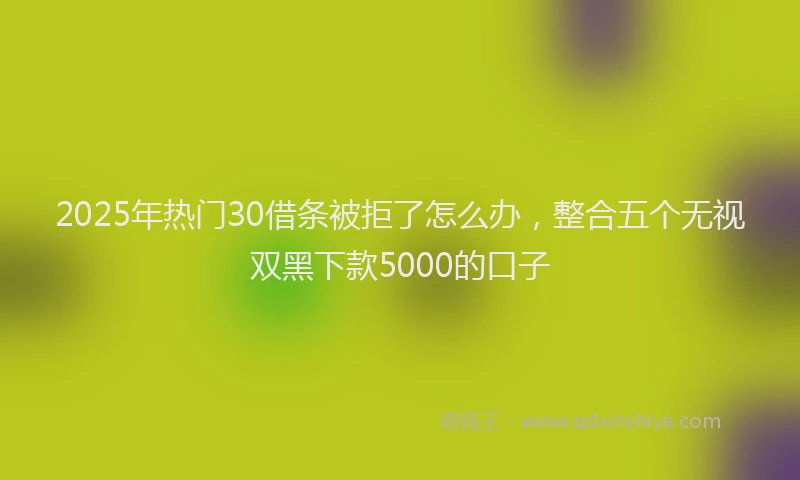 2025年热门30借条被拒了怎么办，整合五个无视双黑下款5000的口子