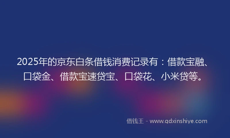 2025年的京东白条借钱消费记录有：借款宝融、口袋金、借款宝速贷宝、口袋花、小米贷等。