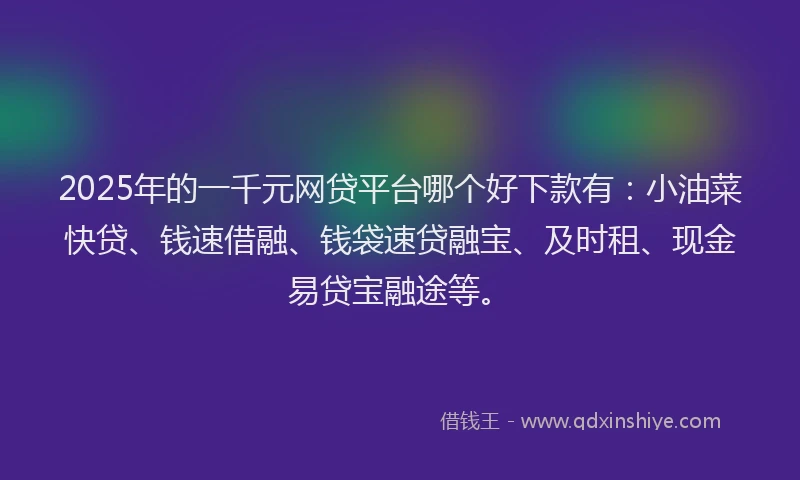2025年的一千元网贷平台哪个好下款有：小油菜快贷、钱速借融、钱袋速贷融宝、及时租、现金易贷宝融途等。