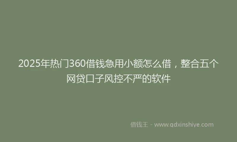 2025年热门360借钱急用小额怎么借，整合五个网贷口子风控不严的软件