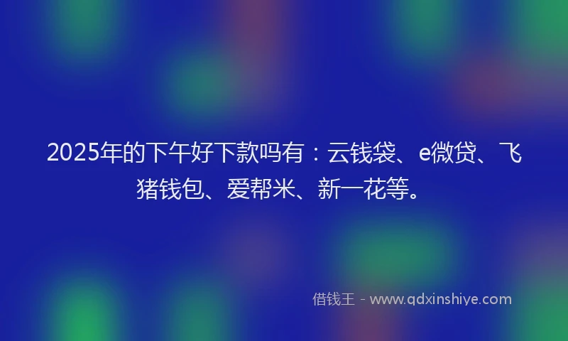 2025年的下午好下款吗有：云钱袋、e微贷、飞猪钱包、爱帮米、新一花等。
