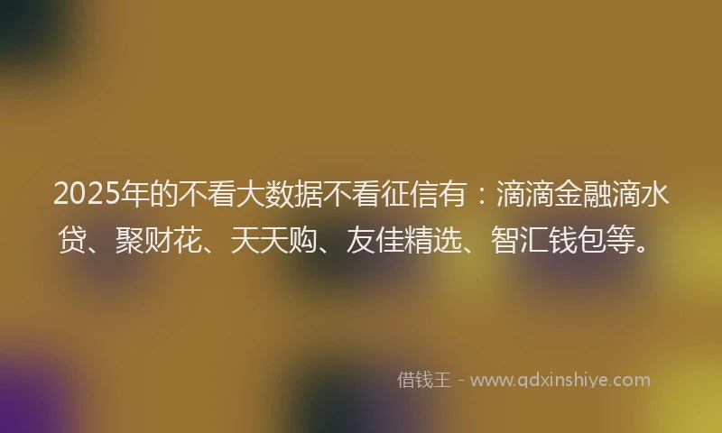 2025年的不看大数据不看征信有：滴滴金融滴水贷、聚财花、天天购、友佳精选、智汇钱包等。