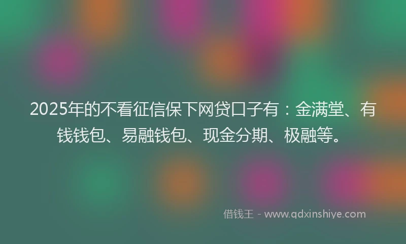 2025年的不看征信保下网贷口子有：金满堂、有钱钱包、易融钱包、现金分期、极融等。