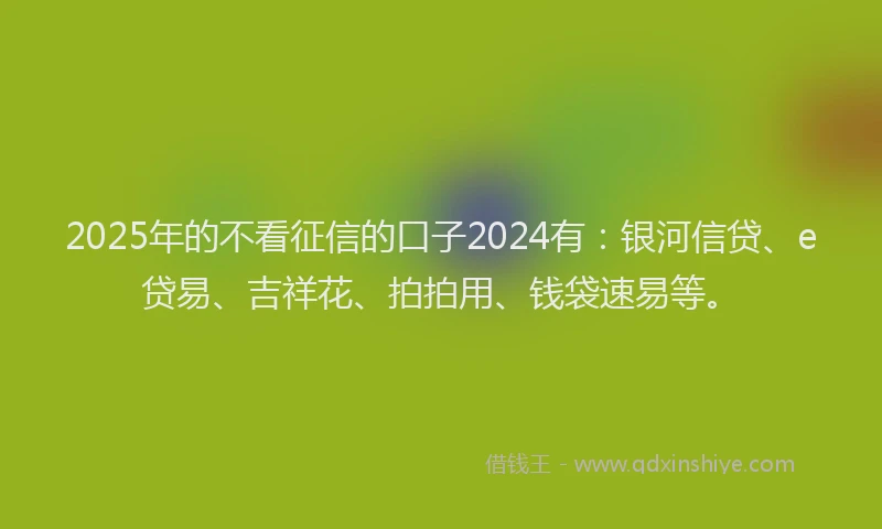2025年的不看征信的口子2024有：银河信贷、e贷易、吉祥花、拍拍用、钱袋速易等。