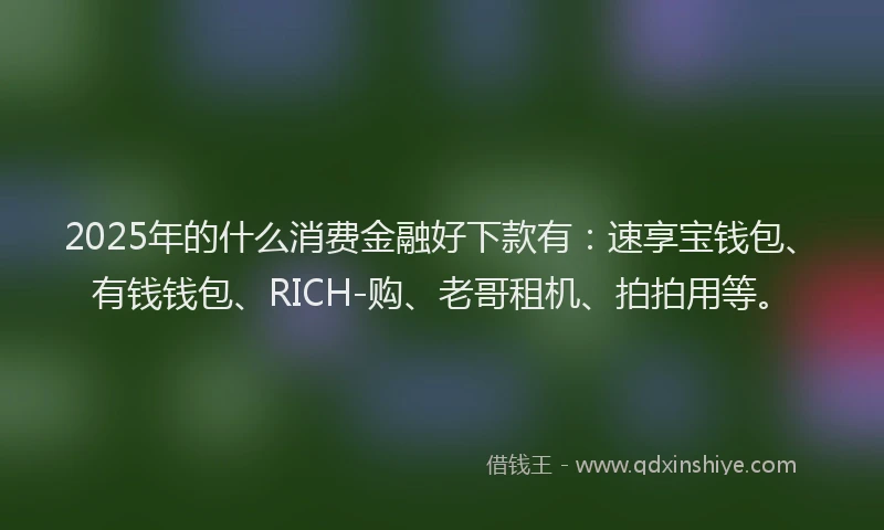 2025年的什么消费金融好下款有：速享宝钱包、有钱钱包、RICH-购、老哥租机、拍拍用等。