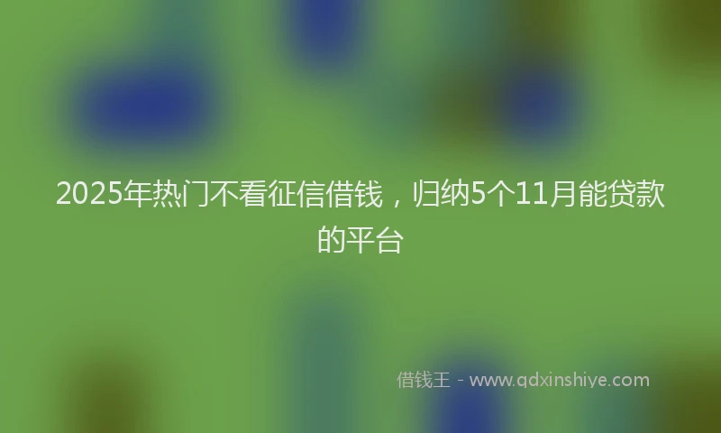 2025年热门不看征信借钱，归纳5个11月能贷款的平台