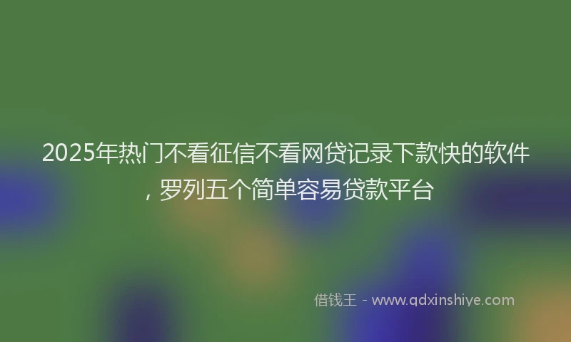 2025年热门不看征信不看网贷记录下款快的软件，罗列五个简单容易贷款平台