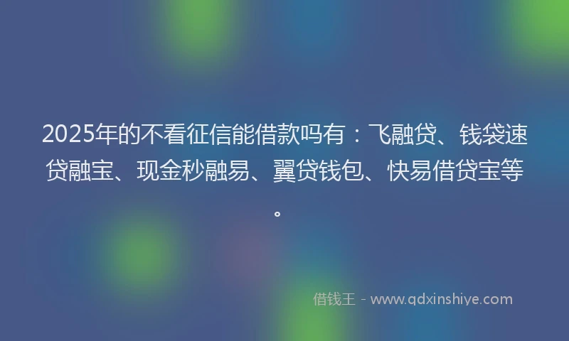 2025年的不看征信能借款吗有：飞融贷、钱袋速贷融宝、现金秒融易、翼贷钱包、快易借贷宝等。