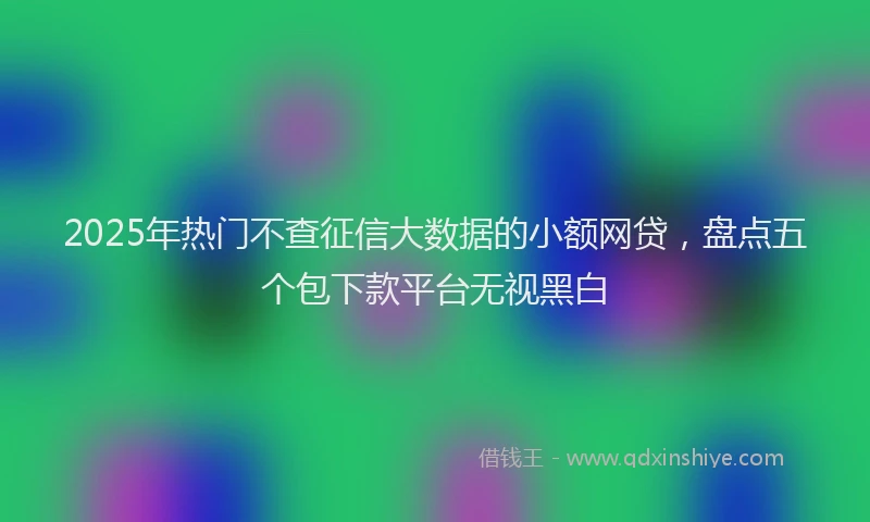 2025年热门不查征信大数据的小额网贷，盘点五个包下款平台无视黑白