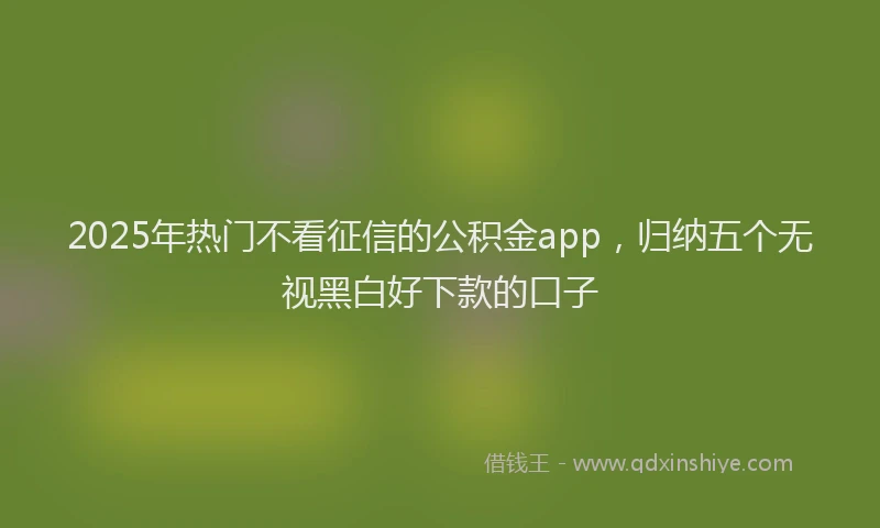 2025年热门不看征信的公积金app，归纳五个无视黑白好下款的口子