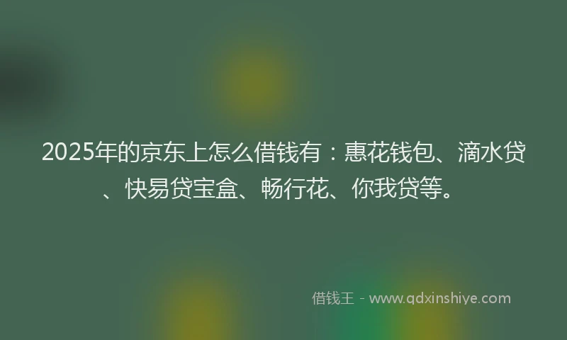 2025年的京东上怎么借钱有：惠花钱包、滴水贷、快易贷宝盒、畅行花、你我贷等。
