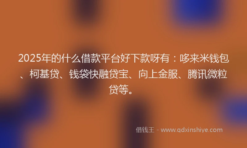 2025年的什么借款平台好下款呀有：哆来米钱包、柯基贷、钱袋快融贷宝、向上金服、腾讯微粒贷等。