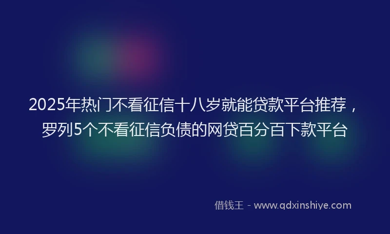 2025年热门不看征信十八岁就能贷款平台推荐，罗列5个不看征信负债的网贷百分百下款平台